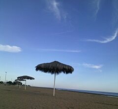 ساحل همیشه زیبا 