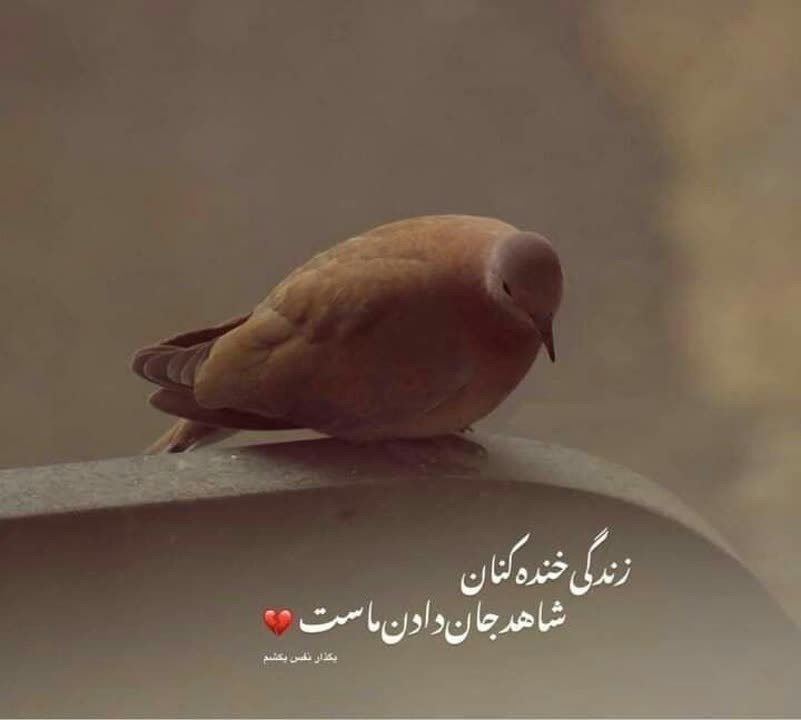 سلام دوستان 