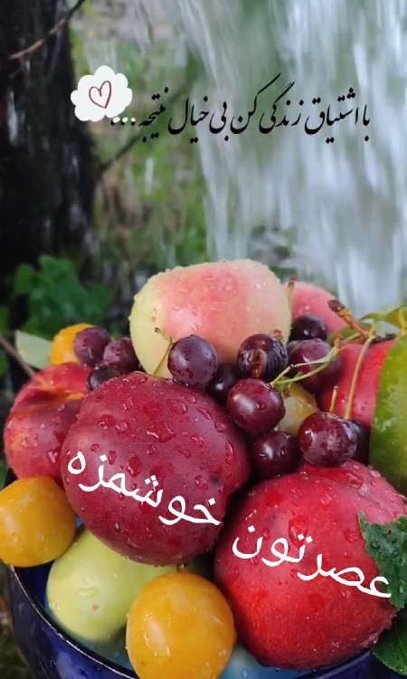 عصرتون دلپذیر 🌹 کپشن لطفاً 👇