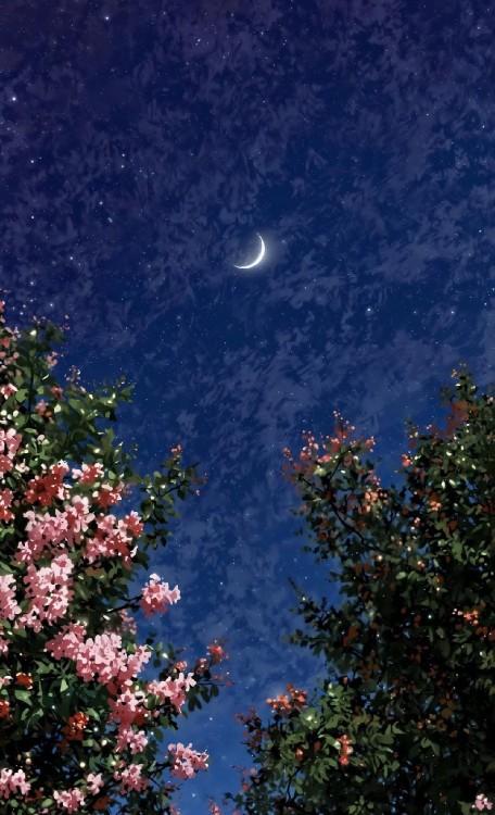 🍁شب را بخیر کنیم تا شیطون نیومده سراغمون 🍁🌑🍁