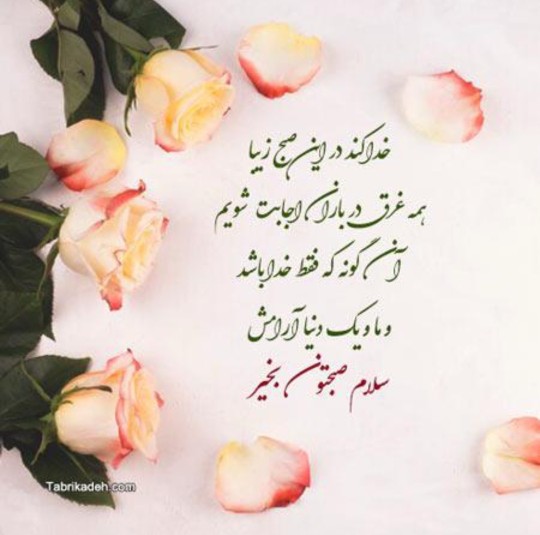 💐💐💐💐💐💐💐