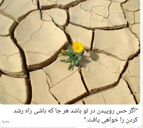 🌺🌺🌺🌺🌺🌺🌺