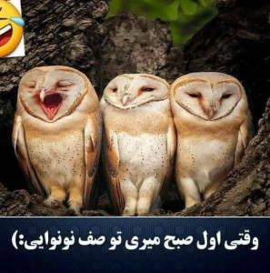 دقیقا👏👏😂😂