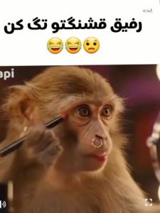 💥💥👀👀👀👀😁😁😁