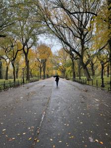 سلسله موی دوست حلقه دام بلاست