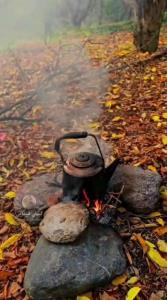 حال دلتون خش