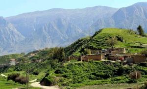 دشت همیشه سبز سوسن