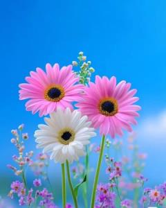 وقتی چیزی مرا رنج می‌داد