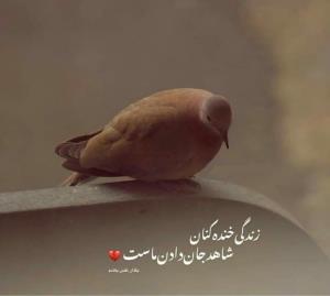 سلام دوستان 