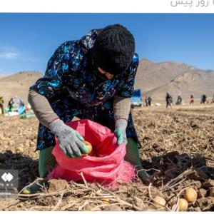 تلاش برای نان حلال