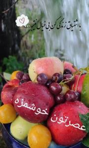 عصرتون دلپذیر 🌹 کپشن لطفاً 👇