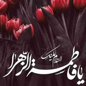 التماس دعا اللهم صل علی فاطمه وابیها وبعلها وبنی ها وسرالمستودع فیها به عدد ما احاط بی علمک