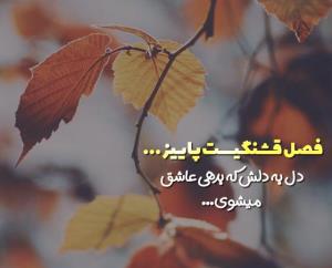 شبتون زیبا 🍁🍂🍁