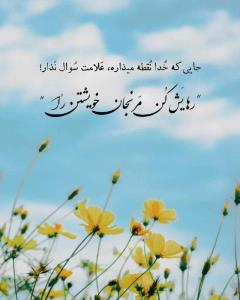 🙋🏻‍♀️🌺🍀