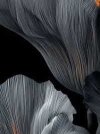 دلنوشته های من🌺14/15