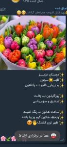 ۰💚🌷💚🌷💚🌷