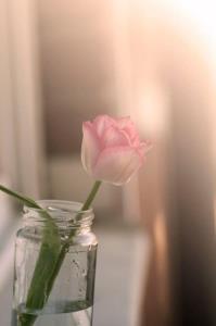 ذهن انسان متعصب 