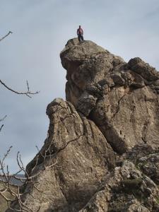 ای کوه تو شنیدی فریاد من امروز