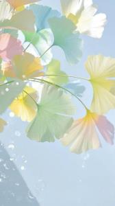 انسانیت یعنی...