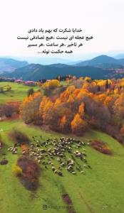 گذشته رورهاکن...