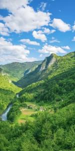 موفقیت و رشد تو 