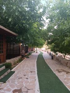 یه روزایی میشم سرد و دپرس، ولی باز میگم خدای من شکر✨

