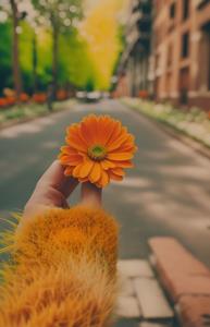 دایی غلام سپر آمریکایی