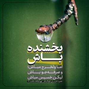 ✍ امیرالمؤمنین امام علی علیه‌السلام:
