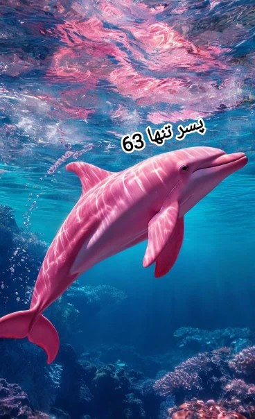 دلفین صورتی 