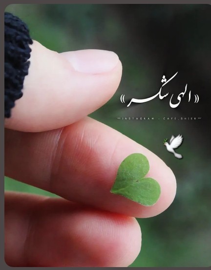 درود مهربونا... 🤞🕊🍁