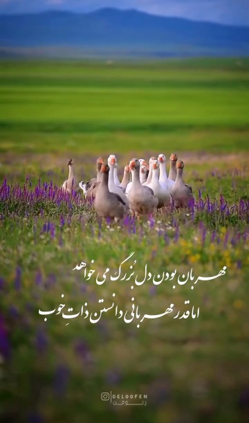 سلام دوستان گلم ظهرتون بخیر خوشی سفرتون پراز خیروبرکت 