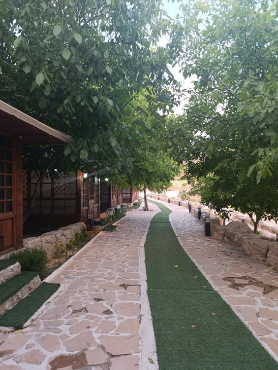 یه روزایی میشم سرد و دپرس، ولی باز میگم خدای من شکر✨

