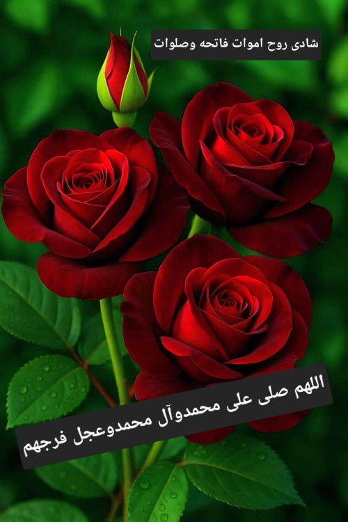 🥀عصرپنجشنبه آبان است
🌹روز دل تنگی
🥀برای عـزیزانی که 
🌹در