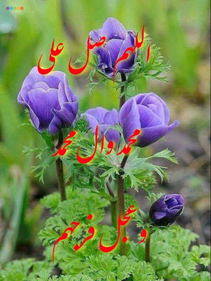 صلوات 🌹🌹🌹🌹🌹