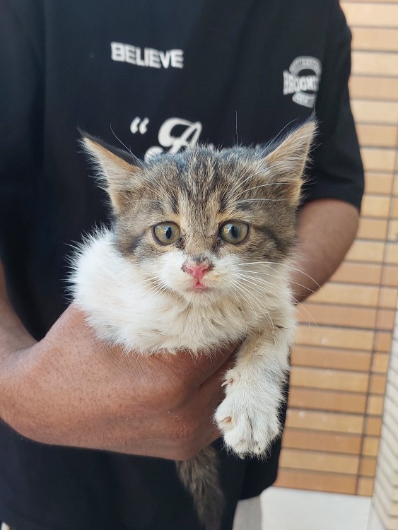 تِنِسییی جونم😍🤗