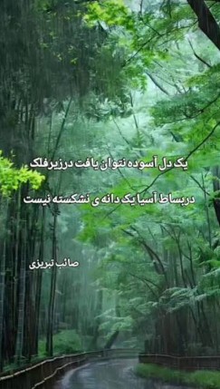 حضرت صائب ☑️☑️🌺☘️