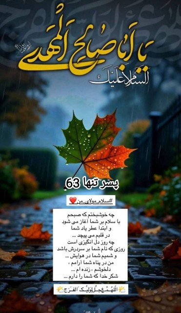 یا ابا صالح المهدی 