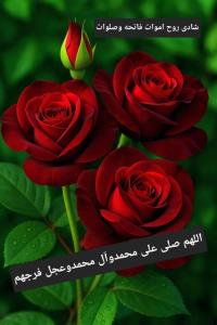 🥀عصرپنجشنبه آبان است
🌹روز دل تنگی
🥀برای عـزیزانی که 
🌹در