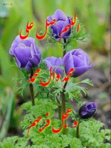 صلوات 🌹🌹🌹🌹🌹