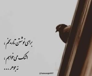 برای نوشتن تاریخم،
اشک می‌خواهم،
نه جوهر✔️