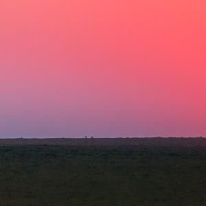 🄿🅄🅉🅉🄻🄴 3️⃣