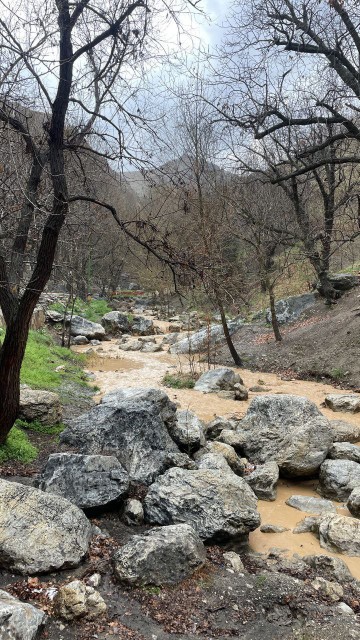 🙋‍♂️1402/11