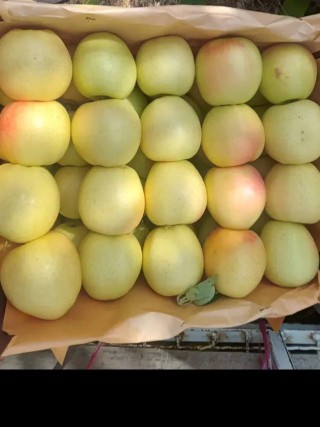 به به میوه مورد علاقه من😍😍😍😍😍