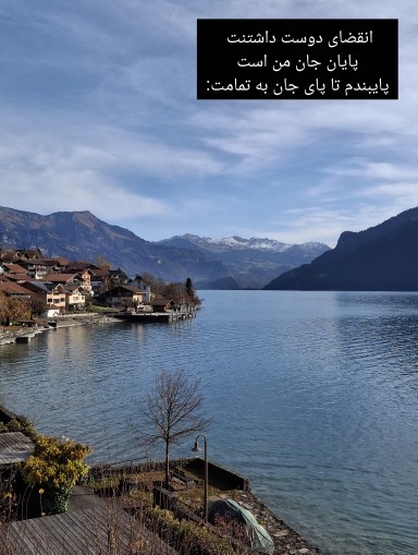 ❤️❤️❤️❤️ صلامتیت 🍷🍷