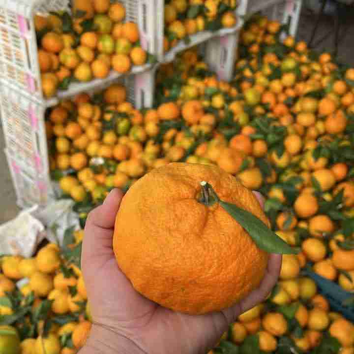 اینم پنجشنبه بازار گیلان 