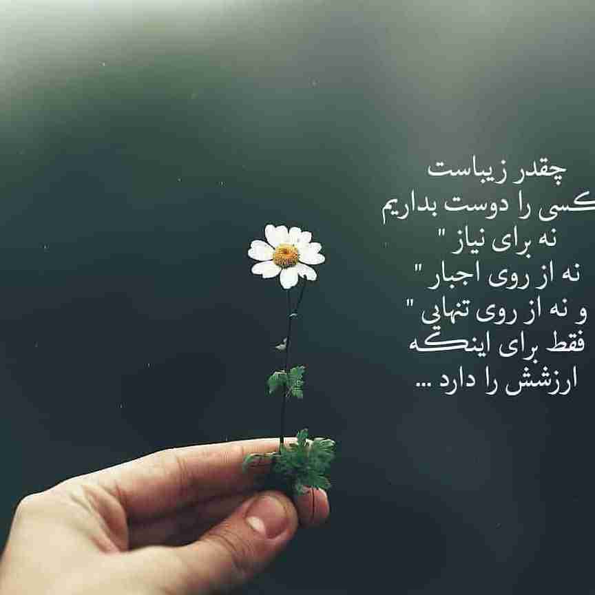 چقدر زیباست....