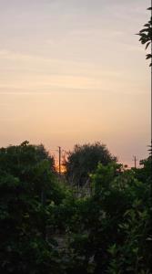 به وقت غروب زیبا🍂🍁