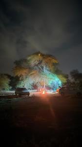 شب نشینی  طبیعت🍀🗻