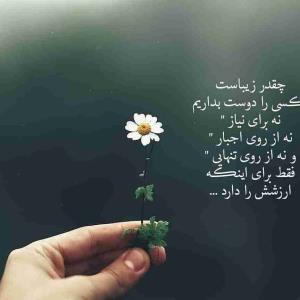 چقدر زیباست....