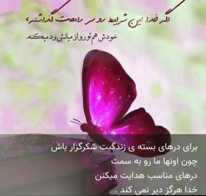 مولتی ویتامین